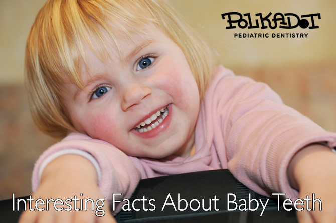 All You Need to Know About Baby Teeth