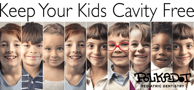 Cavity Free Banner